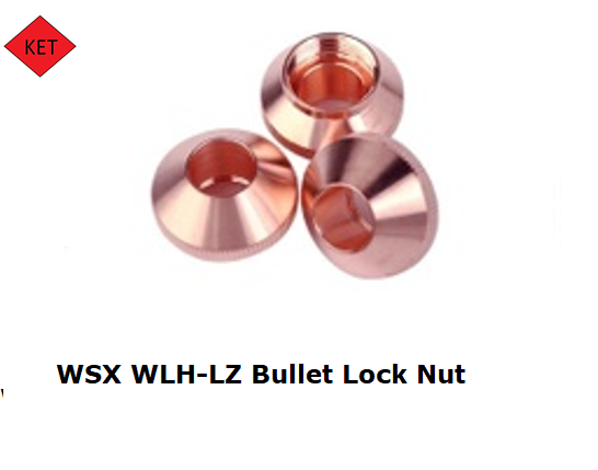 WSX-WLH-LZ Bullet Lock Nut